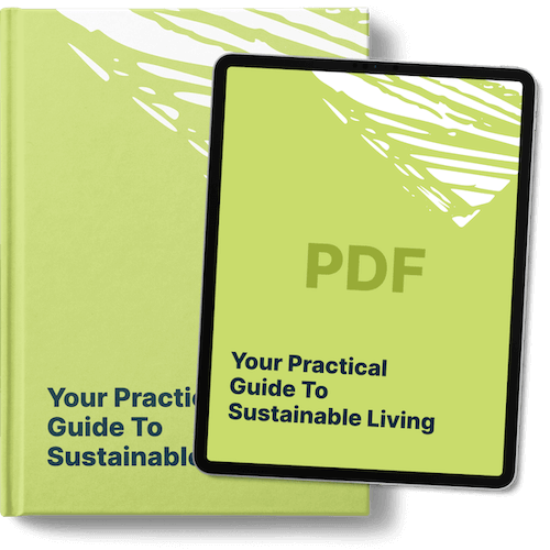a5-hard-cover-sustainable-guide-lime-pdf-t
