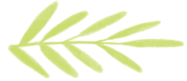 doodle-big-lime-line-flower-02